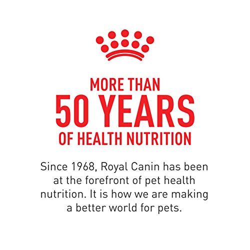 Royal Canin Feline Weight Care: A 14 lb Bag of Health & Happiness - Image 10
