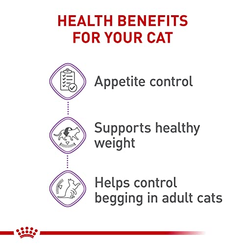 Royal Canin Feline Care Appetite Control: A Satisfied Kitty! - Image 4