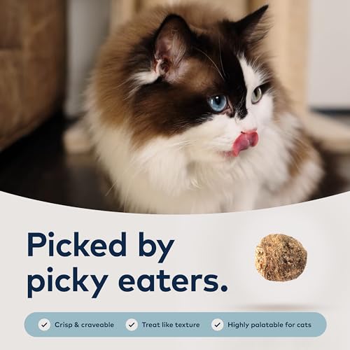 ZIWI Peak Cage-Free Chicken & Mackerel Cat Food Review - Image 2