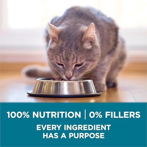 Ultimate Review: Purna ONE Tender Selects High Protein Cat Food - Image 7