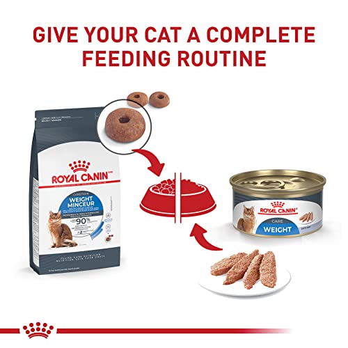 Royal Canin Feline Weight Care: A 14 lb Bag of Health & Happiness - Image 6