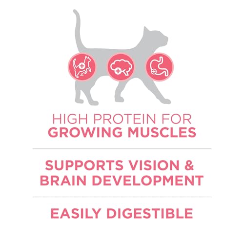 Essential Nutrition: High Protein Natural Kitten Cat Food Review - Image 4
