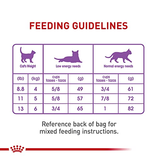 Royal Canin Feline Care Appetite Control: A Satisfied Kitty! - Image 7