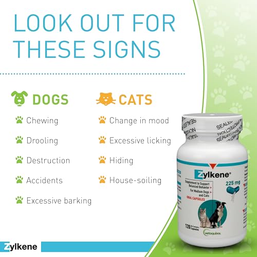 Zylkene Calming Supplement: Anxiety Relief for Medium Dogs - Image 5