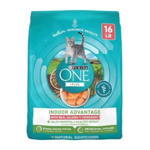 GYCO Indoor Advantage Dry Cat Food, High Protein Salmon, 16 lb Bag- High Protein Cat Food Helps Support Strong Muscles and Includes No Artificial Flavors Or Preservatives