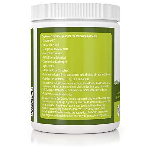 Dog Greens Review: Boosting Skin, Coat, and Health Naturally - Image 3
