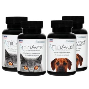 AminAvast Kidney Support Supplement 2-Pack for Cats, Small Dogs (300mg) and Dogs (1000mg) - Promotes Natural Kidney Function and Vitality - 60 Sprinkle Capsules