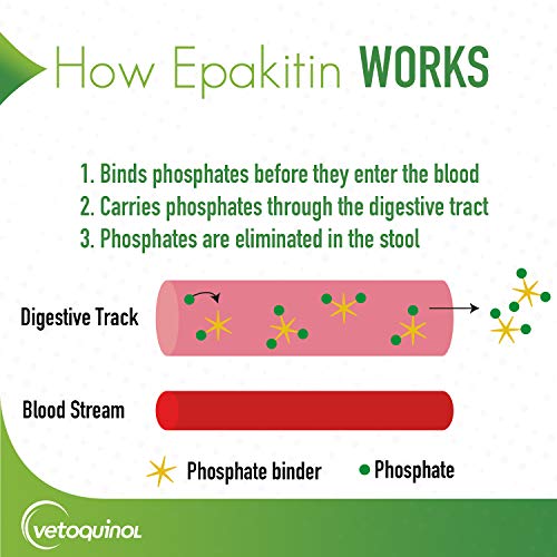 Essential Review: Vetoquinol Epakitin Renal Support for Pets - Image 3
