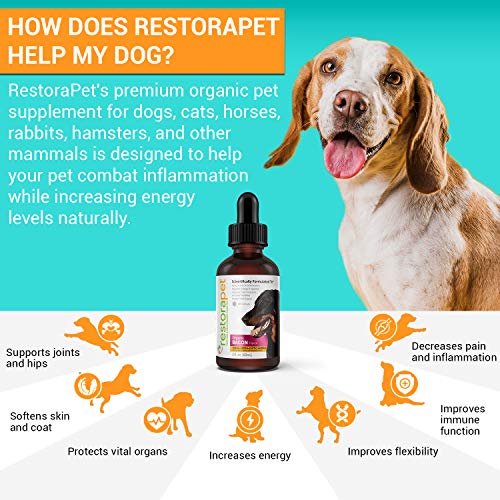 RestoraPet Bacon Multivitamin: Ultimate Relief for Pets' Joints - Image 2