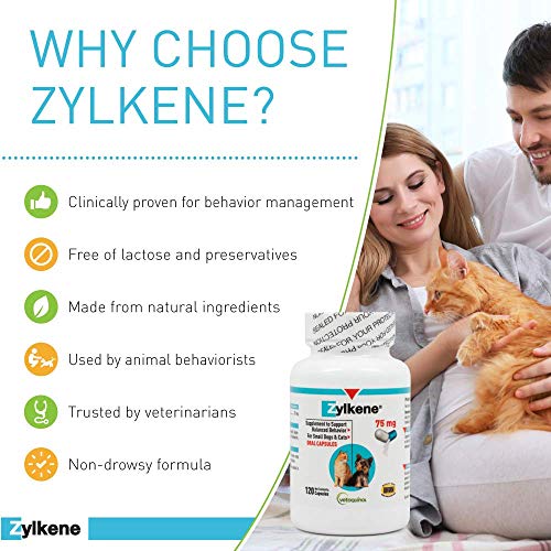 Vetoquinol Zylkene: Daily Stress Relief for Small Pets - Image 4