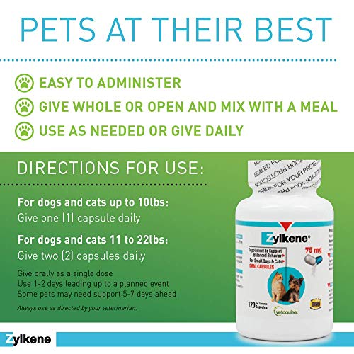 Vetoquinol Zylkene: Daily Stress Relief for Small Pets - Image 2