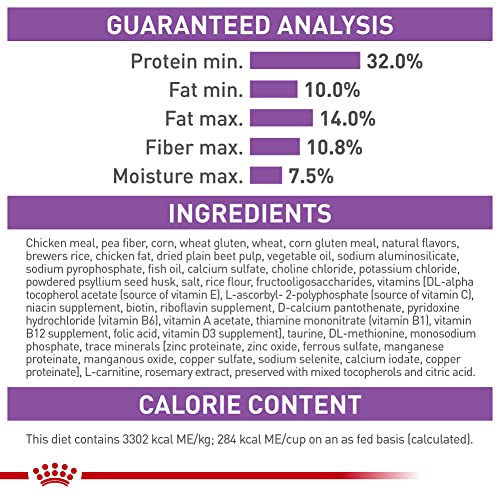 Royal Canin Feline Care Appetite Control: A Satisfied Kitty! - Image 6