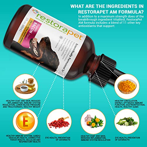 RestoraPet Bacon Multivitamin: Ultimate Relief for Pets' Joints - Image 3