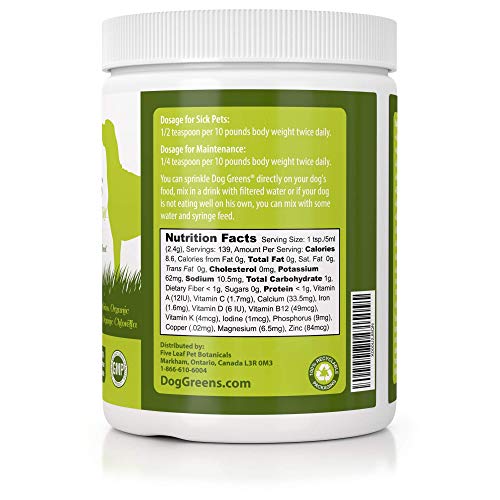 Dog Greens Review: Boosting Skin, Coat, and Health Naturally - Image 2