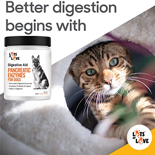 Pancreatic Enzymes for Dogs: Thomas Pet Bio Case Review - Image 9