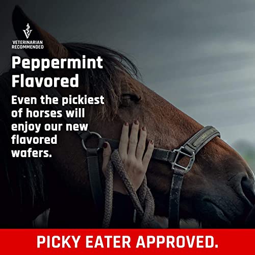 Majesty's Flex XT Wafers: Enhanced Joint Support for Horses - Image 9