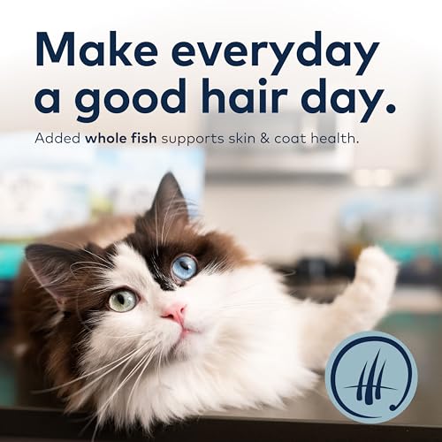 ZIWI Peak Cage-Free Chicken & Mackerel Cat Food Review - Image 5