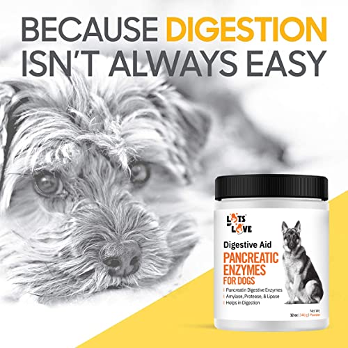 Pancreatic Enzymes for Dogs: Thomas Pet Bio Case Review - Image 6