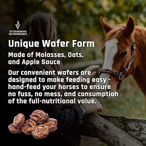 Majesty's Flex XT Wafers: Enhanced Joint Support for Horses - Image 6
