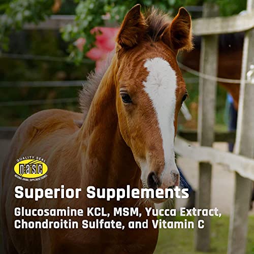 Majesty's Flex XT Wafers: Enhanced Joint Support for Horses - Image 7