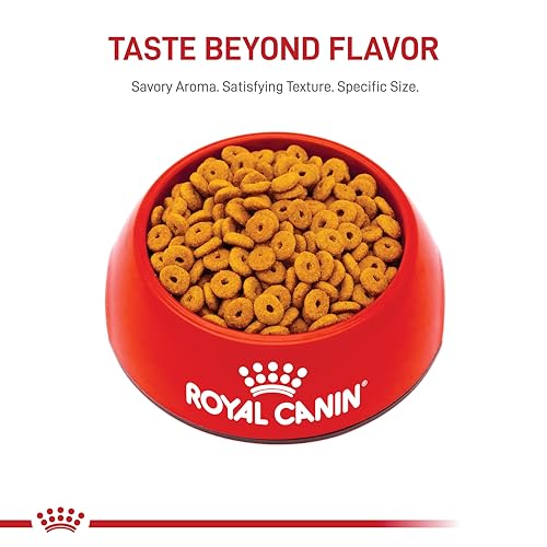 Royal Canin Feline Care Appetite Control: A Satisfied Kitty! - Image 10