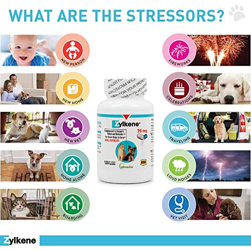 Vetoquinol Zylkene: Daily Stress Relief for Small Pets - Image 5