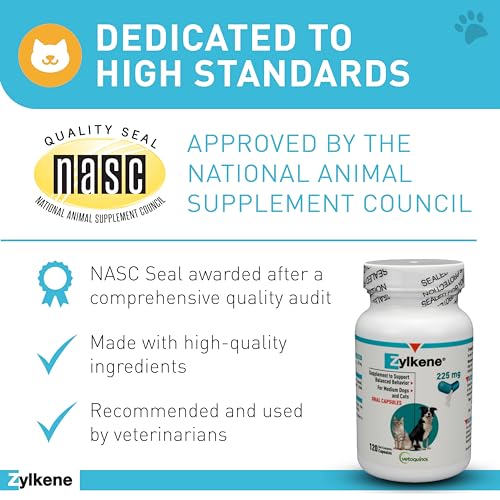 Zylkene Calming Supplement: Anxiety Relief for Medium Dogs - Image 7