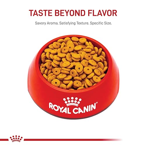 Royal Canin Feline Weight Care: A 14 lb Bag of Health & Happiness - Image 9