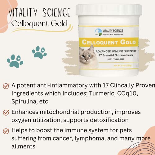Vitality Science Celloquent Gold: Holistic Cat Immune Support - Image 2