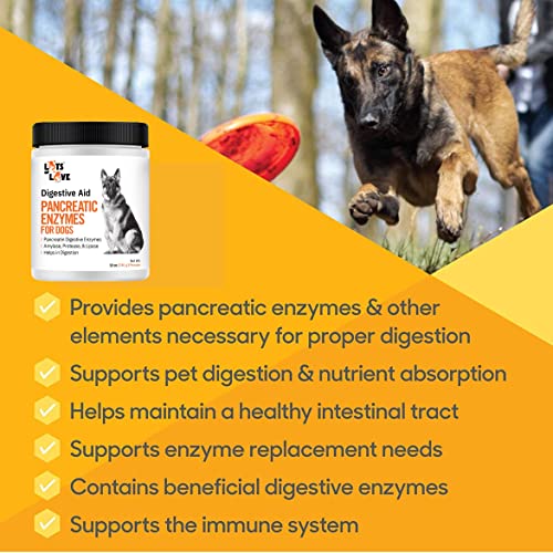 Pancreatic Enzymes for Dogs: Thomas Pet Bio Case Review - Image 4