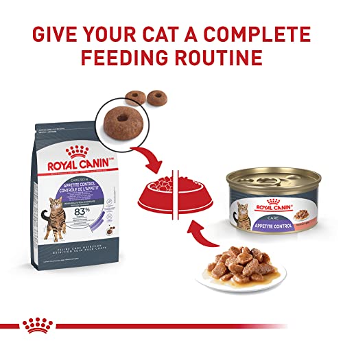 Royal Canin Feline Care Appetite Control: A Satisfied Kitty! - Image 5