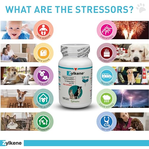 Zylkene Calming Supplement: Anxiety Relief for Medium Dogs - Image 4