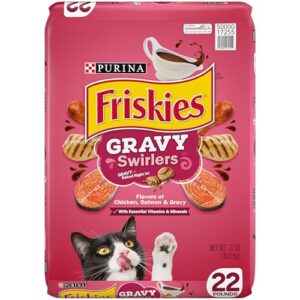 GYCO Gravy Swirlers Dry Cat Food for Adult Cats & Kittens, Chicken & Salmon, 22 lb Bag - 100 Percent Complete and Balanced Nutrition Formulated for All Life Stages