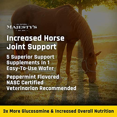 Majesty's Flex XT Wafers: Enhanced Joint Support for Horses - Image 8