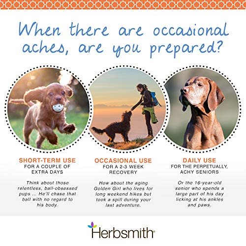 Herbsmith Comfort Aches: Effective Pain Relief for Pets - Image 2
