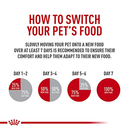 Royal Canin Feline Care Appetite Control: A Satisfied Kitty! - Image 8