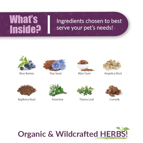 Amber NaturalZ Herbal Supplement Review: Sinus Relief for Pets - Image 3