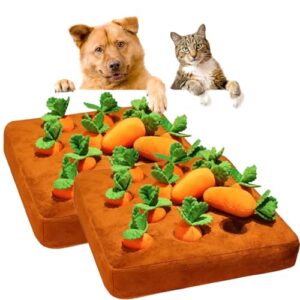 Carrot Patch Cat Toy, Cat Carrot Patch, Interactive Feather Cat Toys for Indoor Cats, Carrot Catnip Cat Toys, Catnip Carrot Cat Toy (2 pcs)