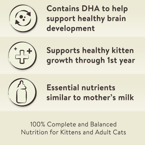 Ultimate Review: 35 lb Chicken & Turkey Cat Kibble Bonanza - Image 4