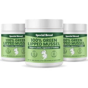 Special Breed Green Lipped Mussels for Dogs & Cats - Premium Joint Supplement Powder for HIPS, Joints, and Muscles (300 Grams, Up to 1,000 Servings) - 3 Pack