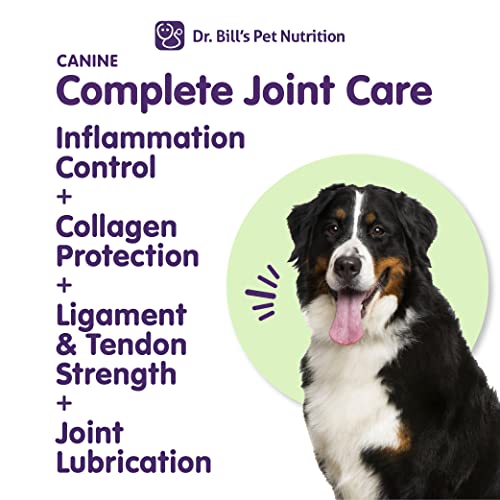 Advanced Dog Joint Supplement for Mobility & Arthritis Relief by Dr. Bill's - Image 3
