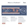 Boost Pet Wellness: Fera Pets Happy Gut Probiotic Supplement Bundle - Image 5