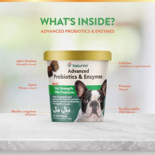 NaturVet Probiotics & All-in-One: Optimal Pet Health - Image 6