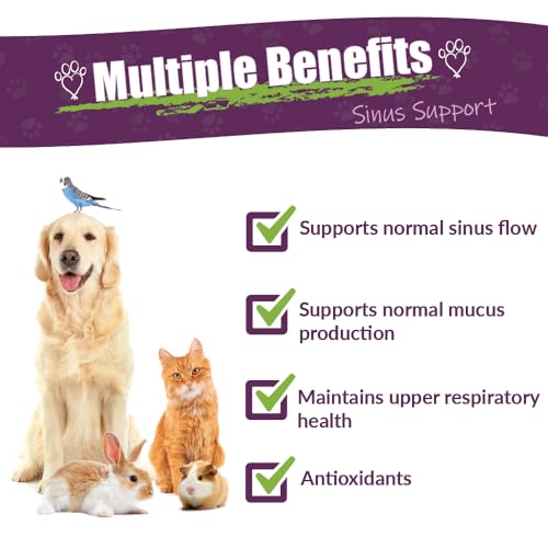 Amber NaturalZ Herbal Supplement Review: Sinus Relief for Pets - Image 2