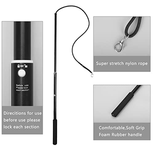 Interactive Fun: COSMICROWAVE Feather Wand for Cats - Image 5