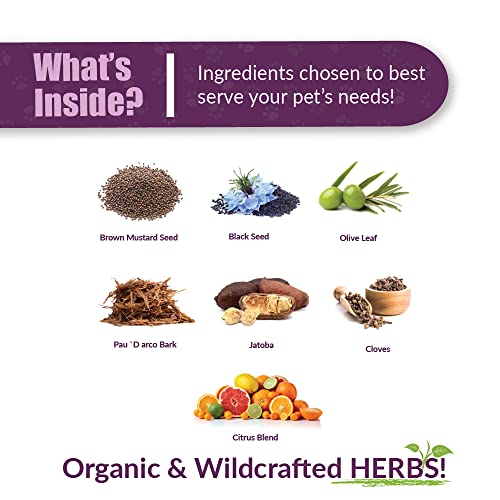 Amber NaturalZ Vibactra Plus: Boosting Pet Immunity Naturally - Image 3