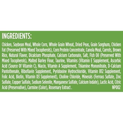 Review: Real Chicken & Veggies Dry Cat Food for Dogs? - Image 3