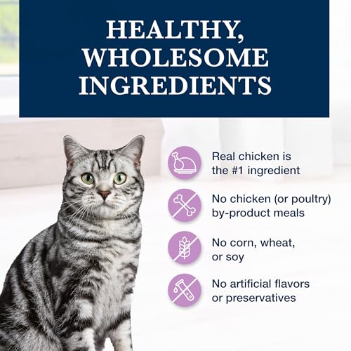 Review: Blue Buffalo W+U Cat Food for Weight & Urinary Care - Image 6