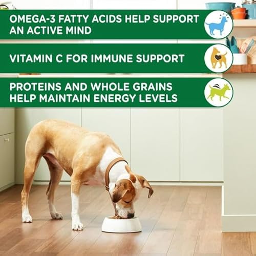 Review: Real Chicken & Veggies Dry Cat Food for Dogs? - Image 6