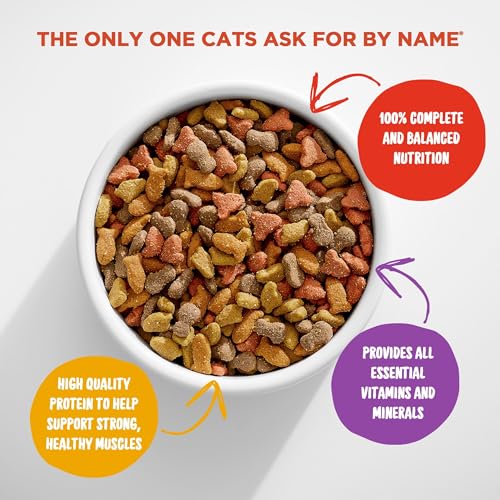 Comprehensive Review of Original Choice Dry Cat Food - Image 4